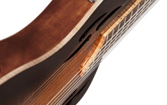 Chitară Electro-Clasică Ortega TourPlayer DeLuxe Nylon Acacia Burst + Gig Bag