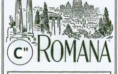 Coarda C 8 pentru titera Romana Titera Acord C (8)