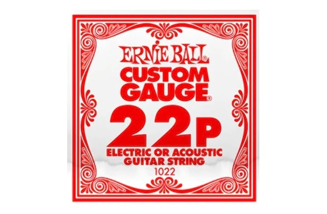 Coarda chitara electrica/acustica Ernie Ball Plain Steel 1022