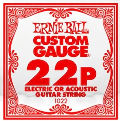 Ernie Ball Plain Steel 1022