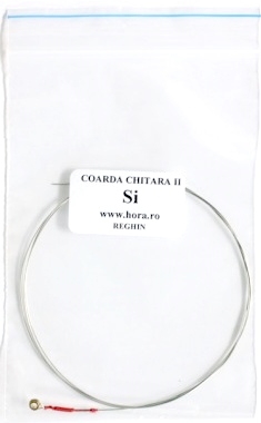 Hora Reghin Coarda 2 Si Chitară