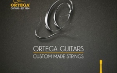 Coardă chitară Ortega Single String - Nylon Silver- plated Copper Wound - Single String 032
