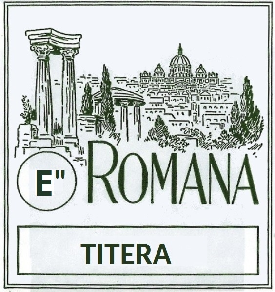 Coarda E/Mi 10 pentru titera Romana Titera Acord E (10)