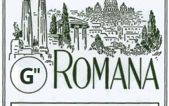 Coarda G/Sol (12) pentru titera Romana Titera Acord G (12)