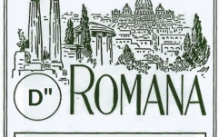 Coarda pentru titera Romana Titera Acord D