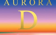 Coarda Re (D) vioară Larsen Aurora Re(D) aluminiu medium 4/4