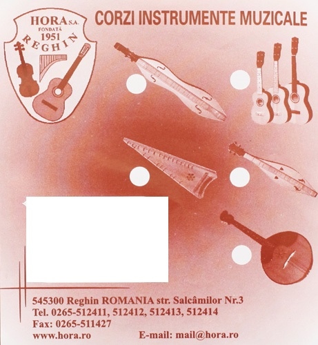 Hora Reghin Viola Re