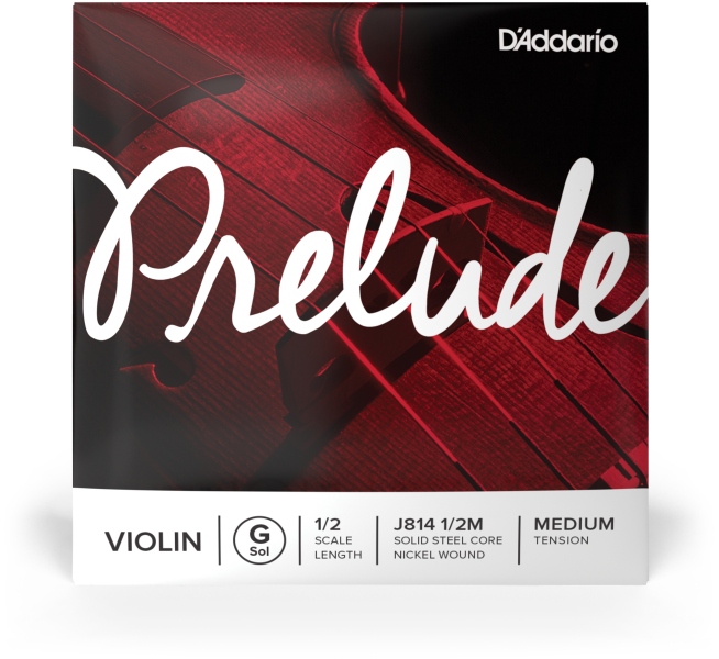Daddario Prelude Violin Single G String 1/2 Scale MT