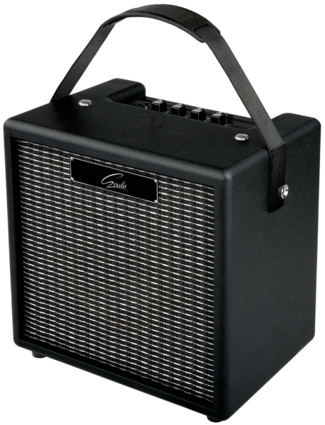 Gould 10w Practice Amplifier