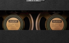 Combo chitară electrică Marshall 1962