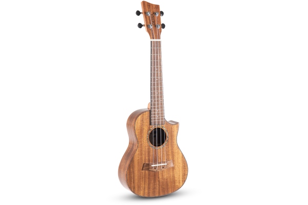  Manoa Special Concert with Cutaway