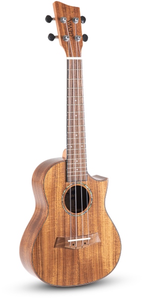 Gewa Manoa Special Concert with Cutaway