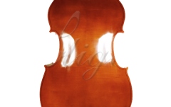 Contrabas 3/4 Gliga Contrabas 3/4 Genial 2 (incepator) - Lac Nitro