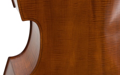 Contrabas  Gewa  Europa Student 3/4 abanos maro auriu