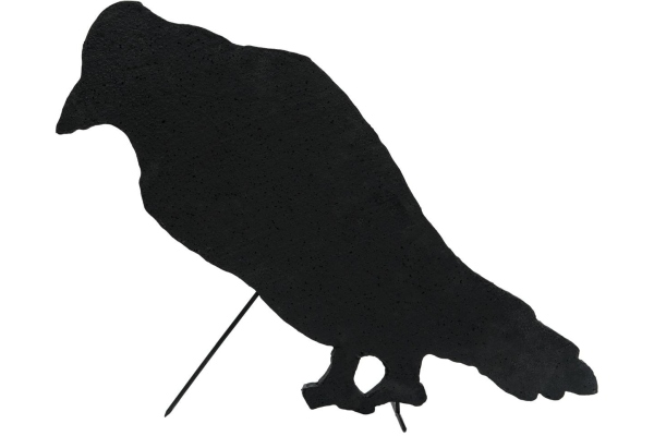 Silhouette Crow, 63cm