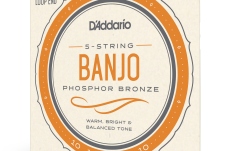 Corzi Banjo Daddario EJ55 5-String PB Medium 10-23