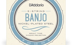 Corzi Banjo Daddario EJ60 5-String Nickel Light 9-20