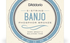 Corzi Banjo Daddario EJ69 5-String PB Light 9-20