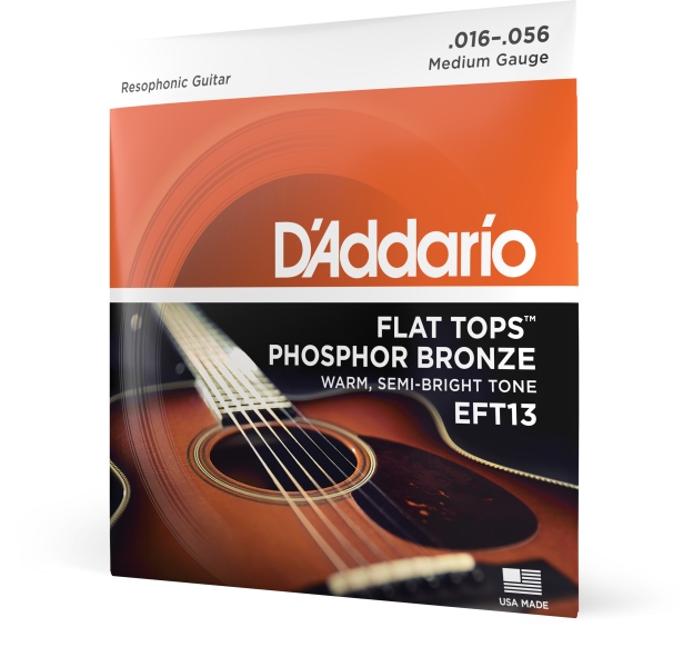Daddario EFT13 Flat Tops PB Resophonic Guitar 16-56