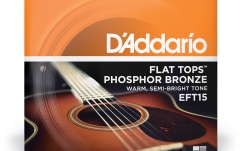 Corzi chitară acustică Daddario EFT15 Flat Tops PB Extra Light 10-47