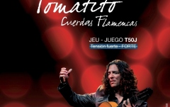 Corzi chitara clasica Flamenco  Savarez Flamenco Set T50J