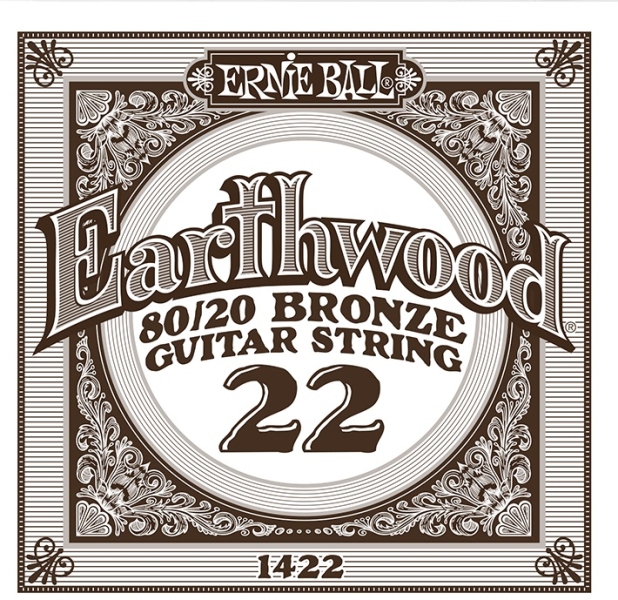 Ernie Ball Earthwood Acoustic 1422