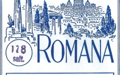 Corzi dulcimer Romana corzi dulcimer H29