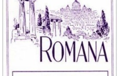 Corzi mandolină Romana Corzi mandolina E