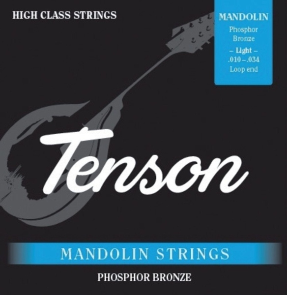 Tenson Phosphor bronze .010-.034 Loop End