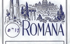 Corzi Țiteră Romana corzi titera acord Set