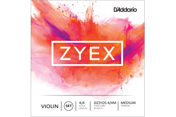 Zyex DZ310S Violin Set 4/4 Medium