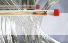 Corzi violoncel  Larsen Corzi violoncel G 4/4 Soloist bulk