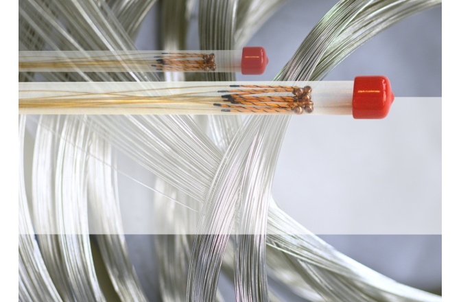 Corzi violoncel  Larsen Corzi violoncel G 4/4 Soloist bulk