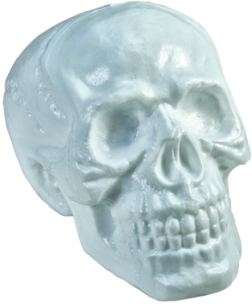 Europalms Halloween Skull, 31x22x22cm