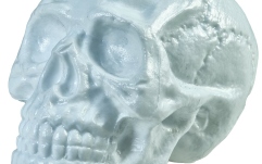 Craniu Halloween Europalms Halloween Skull, 31x22x22cm