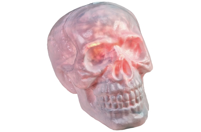 Craniu Halloween Europalms Halloween Skull, 31x22x22cm