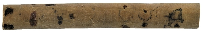 Gewa Curatator pluta 11 mm