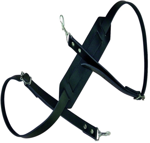 Gewa Curea banjo F&S Piele Banjo, negru
