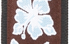 Curea Ukulele Daddario Nylon Ukulele Strap  Aloha