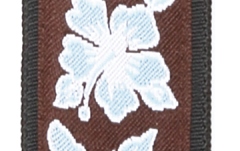 Curea Ukulele Daddario Nylon Ukulele Strap  Aloha