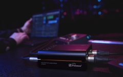 DI box pasiv cu 2 canale Palmer RIVER naab