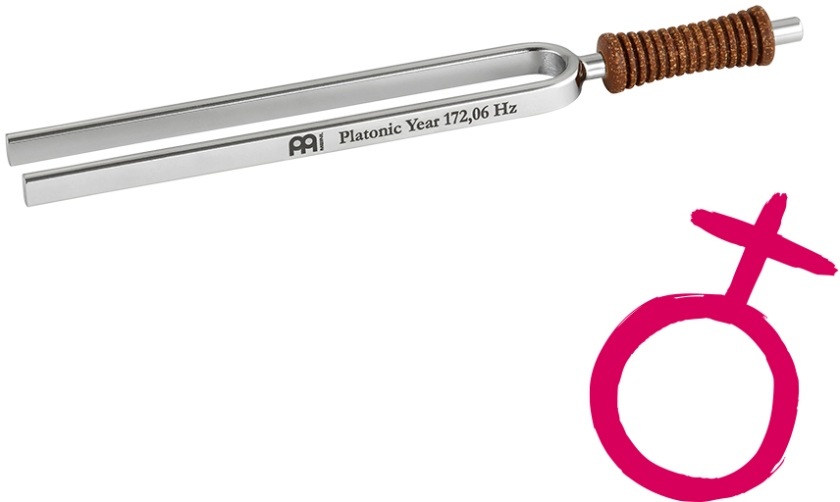 Meinl Tuning Fork - Platonic Year - 172.06 Hz