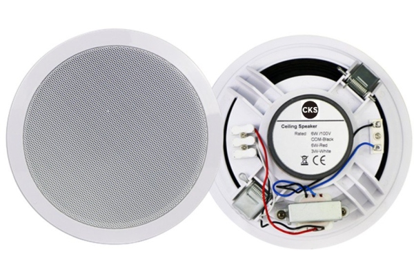 Speaker 66