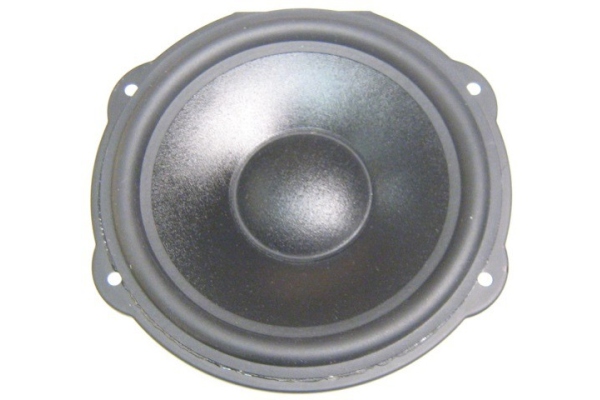 Woofer EVID 6.2