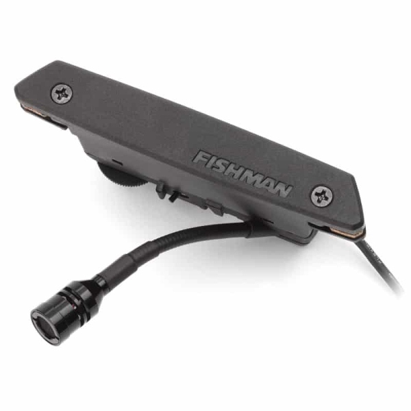 Fishman Rare Earth Mic Blend