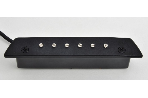 Roger Acoustic Singlecoil Roger Acoustic Singlecoil