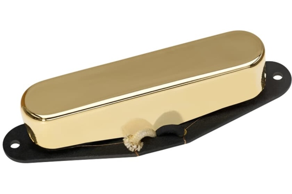 DP 177G True Velvet T Neck gold