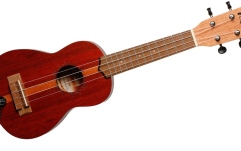 Doză/microfon de suprafață Rumberger EP-1