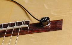 Doză/microfon de suprafață Rumberger EP-1