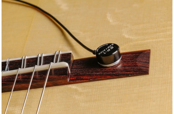 Doză/microfon de suprafață Rumberger EP-1